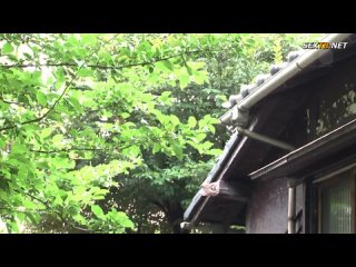 don't you uncensored.