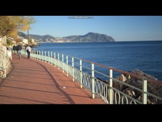 girls in tights 12/18/25. 102