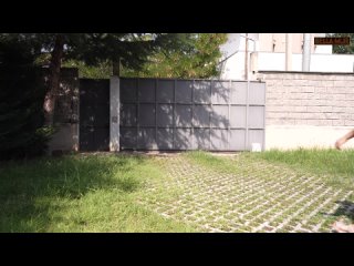 legalporno bella mur young