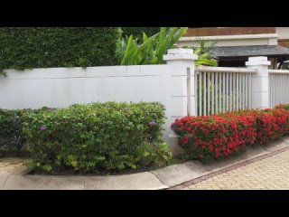 sweetie fox gets drilled by a stranger teen