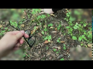 i was looking for a ufo but found a dick